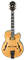 Ibanez PM200-NT гитара полуакустическая с кейсом - фото 85570