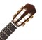 CORDOBA IBERIA C5-CETCD, классическая гитара, топ - канадский кедр, дека - махагони, тонкий профиль деки, тембр блок - Fishman - фото 86104