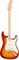 FENDER AM PRO STRAT MN SSB (ASH) электрогитара American Pro Stratocaster, цвет сиенна санберст (ясень), кленовая накладка грифа - фото 86420