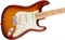 FENDER AM PRO STRAT MN SSB (ASH) электрогитара American Pro Stratocaster, цвет сиенна санберст (ясень), кленовая накладка грифа - фото 86422