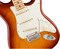 FENDER AM PRO STRAT MN SSB (ASH) электрогитара American Pro Stratocaster, цвет сиенна санберст (ясень), кленовая накладка грифа - фото 86423