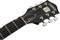 GRETSCH G6118T-135 PRO ANNIV 135 WC полуакустическая гитара, цвет золотистый/вишневый, юбилейный выпуск - фото 89006