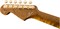 Fender Custom Shop 2017 ARTISAN CLARO WALNUT STRAT Электрогитара - фото 89838