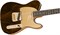 Fender Custom Shop 2017 ARTISAN FIG ROSEWOOD TELE Электрогитара - фото 89871