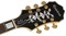 EPIPHONE 'Joe Pass' EMPEROR-II PRO VS гитара полуакустическая, цвет санберст - фото 91654