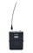 SHURE QLXD1 G51 портативный поясной передатчик QLXD, частотный диапазон 470-534 МГц - фото 96386