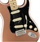 FENDER AMERICAN PERFORMER STRATOCASTER®, MN, PENNY электрогитара, цвет коричневый, в комплекте чехол - фото 96519