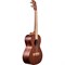 KALA KA-15T Kala Mahogany Tenor Ukulele, No Binding укулеле, форма корпуса - тенор, цвет натуральный - фото 96758