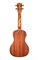 KALA KA-CE Kala Mahogany Concert Ukulele w/EQ электроакустическое укулеле, форма корпуса - концерт, цвет натуральный - фото 96774