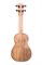 KALA KA-PWS Kala Pacific Walnut Soprano Ukulele укулеле, форма корпуса - сопрано, цвет натуральный - фото 96847